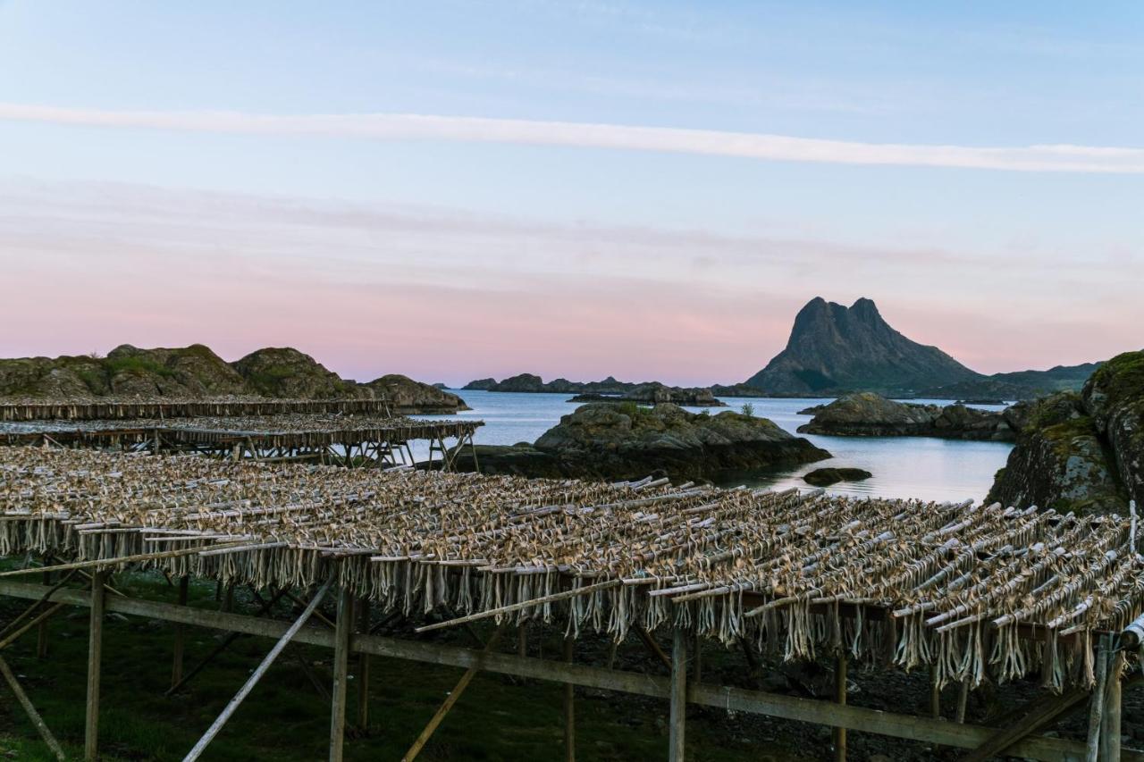 Live Lofoten Hotel สตามซุนด์ ภายนอก รูปภาพ